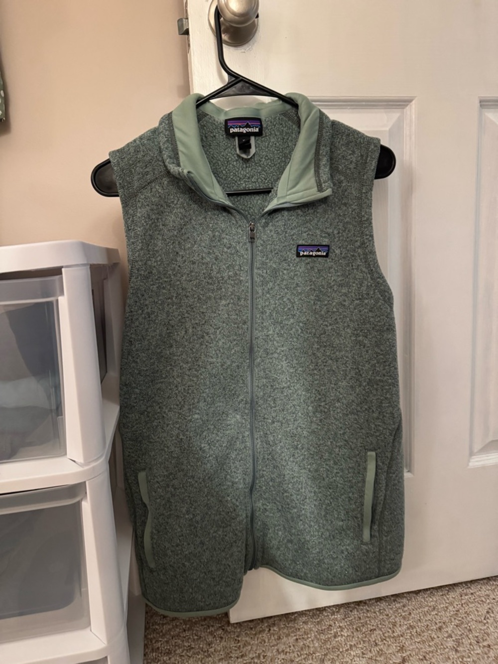 Patagonia Light Sage Green Fleece Jacket